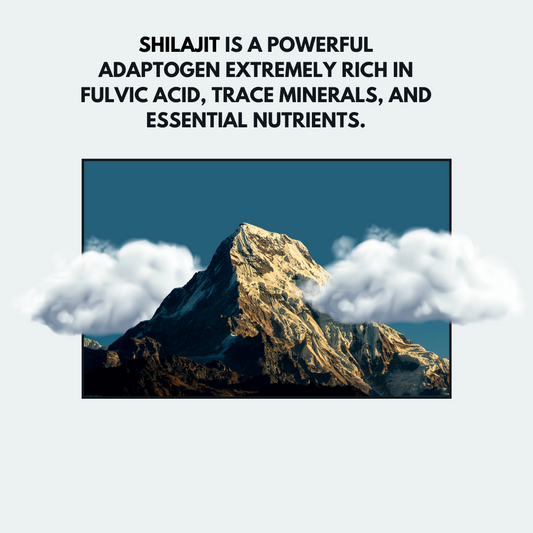 Shilajit: A Potent Adaptogen Packed with Fulvic Acid and Essential Nutrients